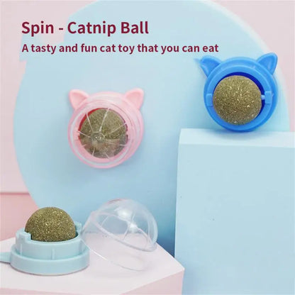Catnip Wall Ball Cat Toys