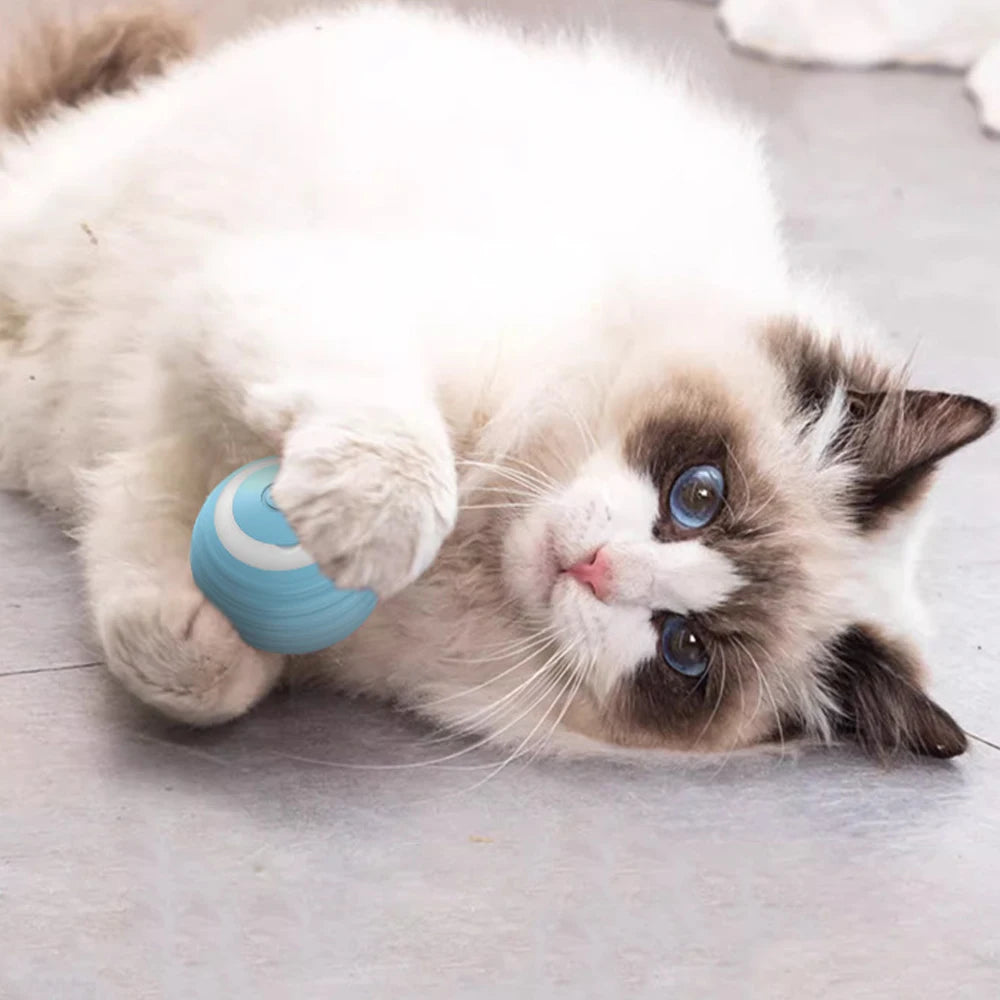 Automatic Rolling Smart Ball Cat Toys