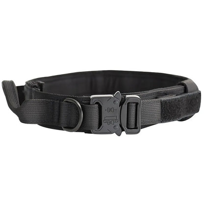 Tactical Police/ Military Dog Collar